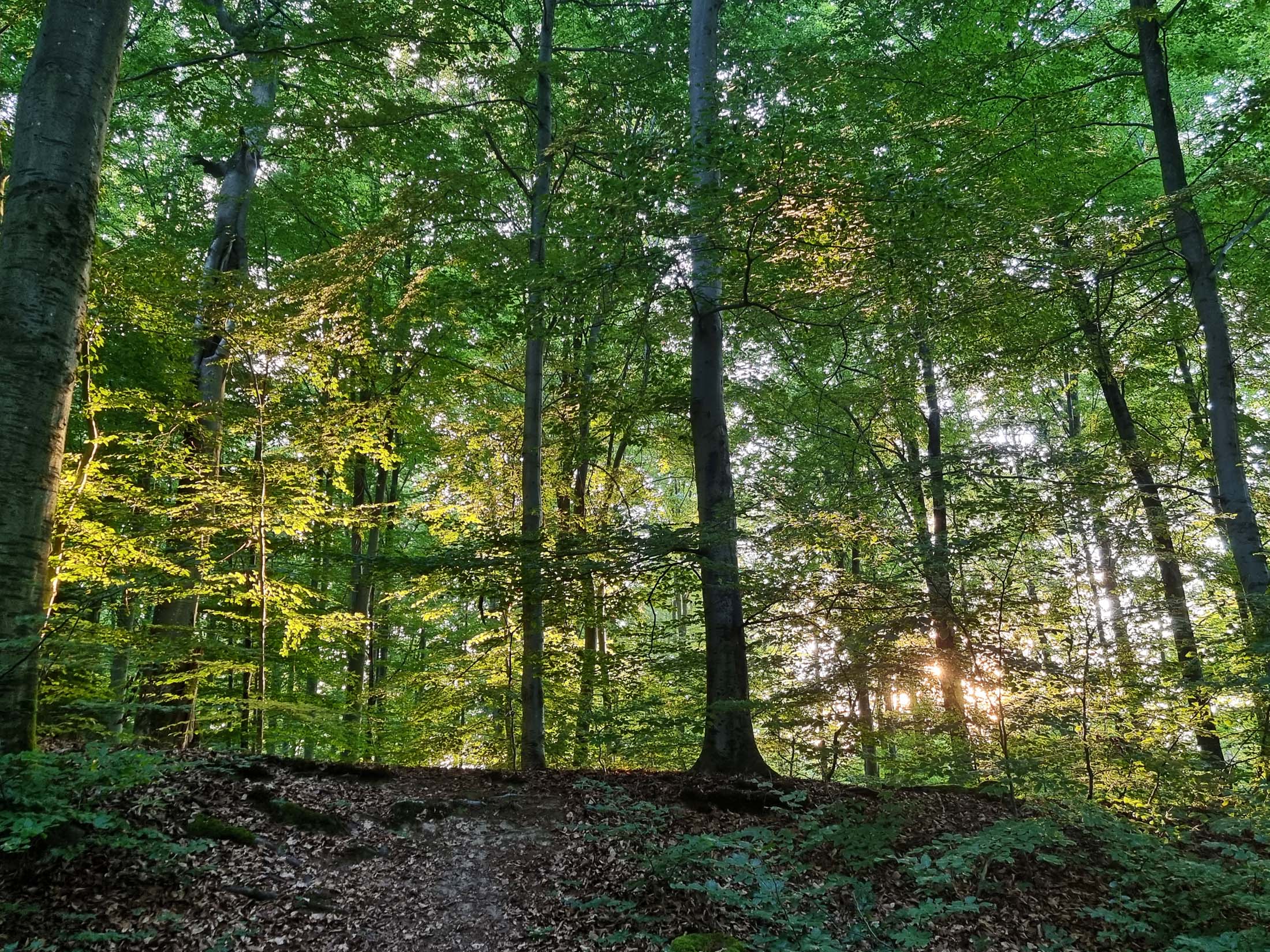 Stuttgart_gruene_Stadt_27_Wildpark
